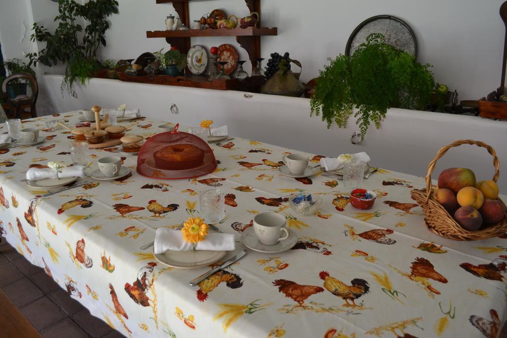 Pensjonat Quinta Da Fontoura Alquerubim Zewnętrze zdjęcie