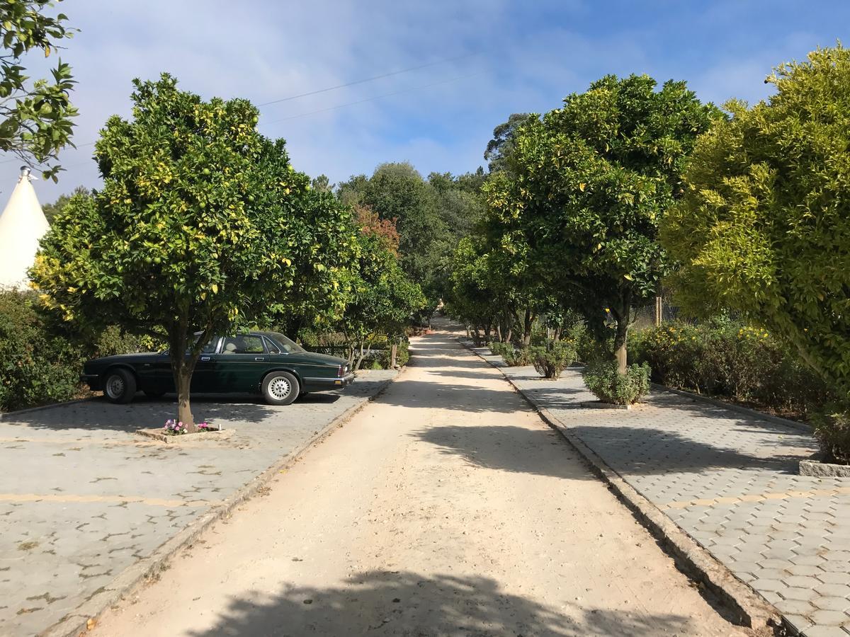 Pensjonat Quinta Da Fontoura Alquerubim Zewnętrze zdjęcie